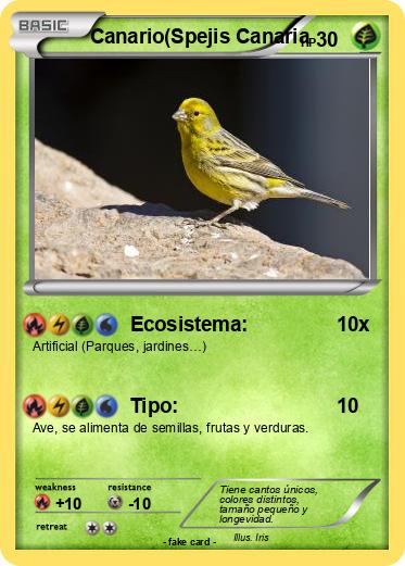 Pokemon Canario(Spejis Canaria