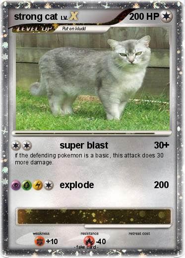 Pokemon strong cat