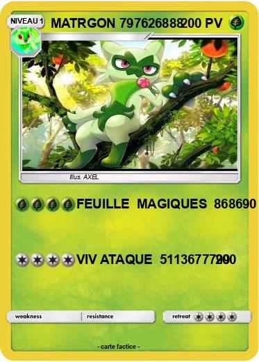 Pokemon MATRGON 797626888