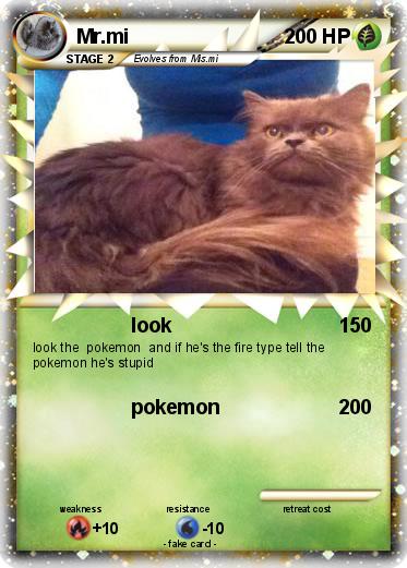 Pokemon Mr.mi