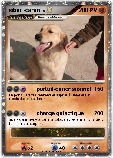 Pokemon siber -canin