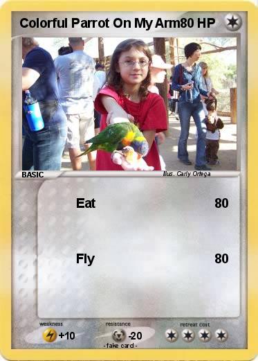 Pokemon Colorful Parrot On My Arm
