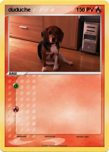 Pokemon duduche
