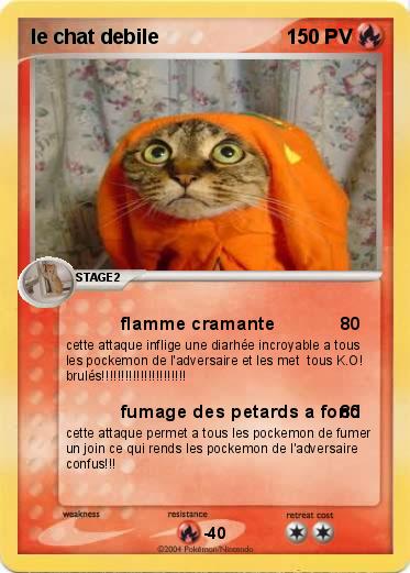 Pokemon le chat debile               
