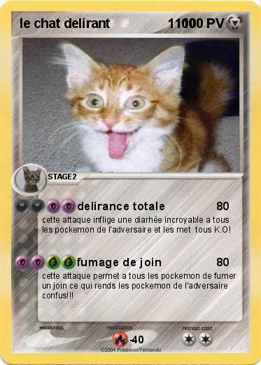 Pokemon le chat delirant                1100         