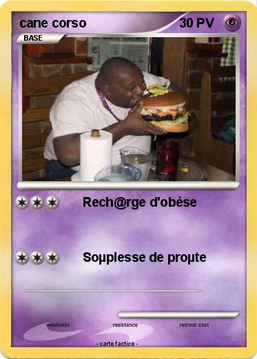 Pokemon cane corso
