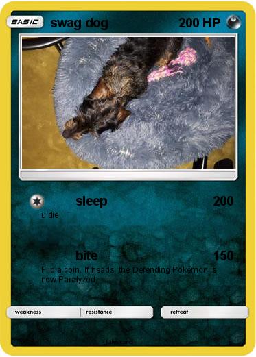 Pokemon swag dog