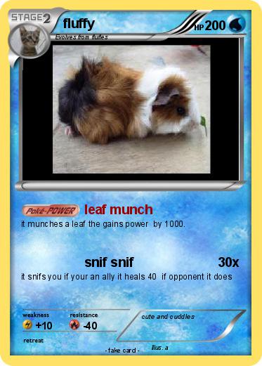 Pokemon fluffy