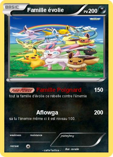 Pokemon Famille évolie