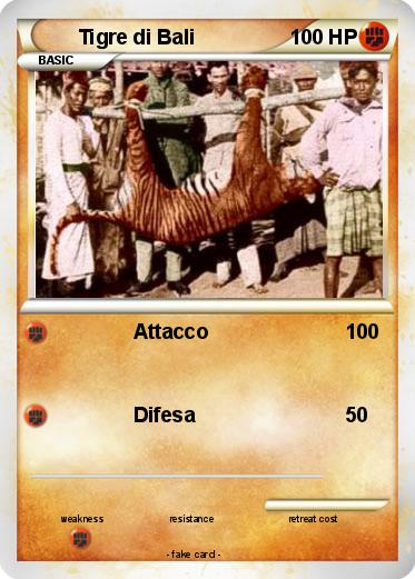 Pokemon Tigre di Bali