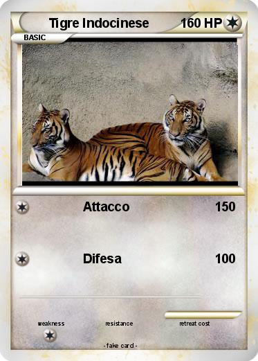 Pokemon Tigre Indocinese