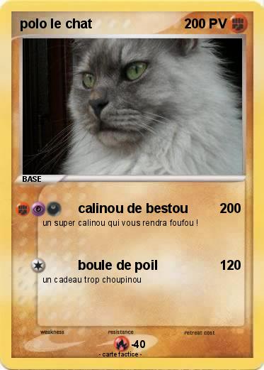 Pokemon polo le chat