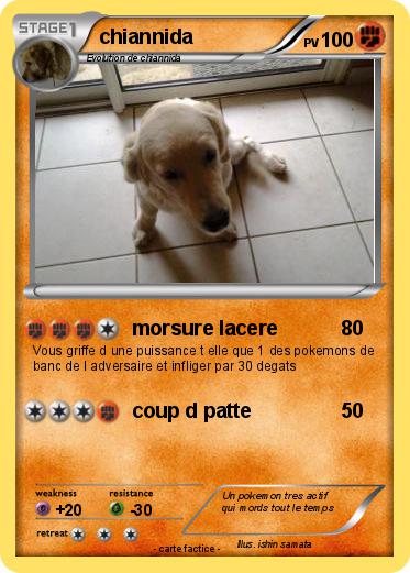 Pokemon chiannida