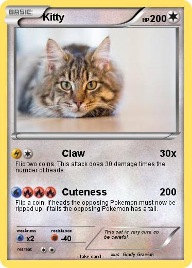 Pokemon Kitty