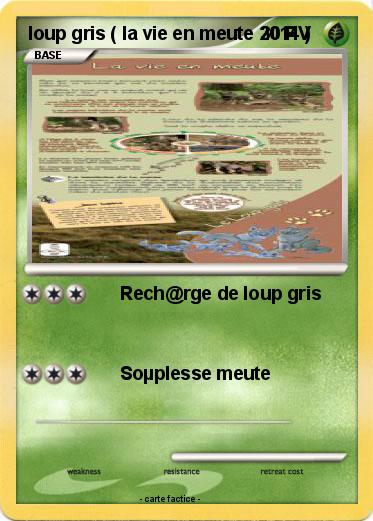 Pokemon loup gris ( la vie en meute 2014 )