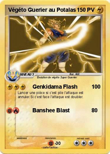 Pokemon Végéto Guerier au Potalas