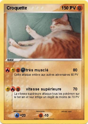 Pokemon Croquette