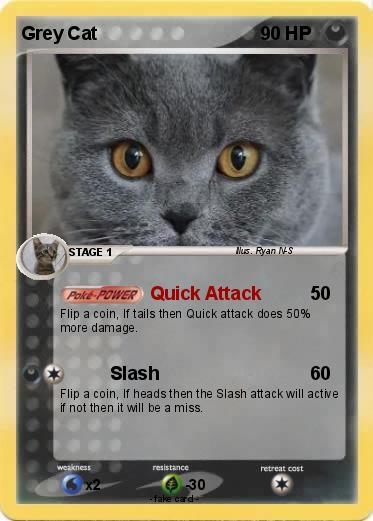 Pokemon Grey Cat