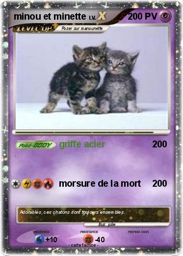 Pokemon minou et minette