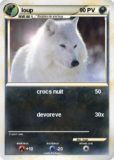 Pokemon loup