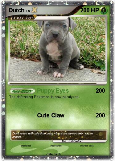 Pokemon Dutch