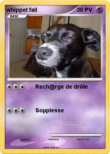 Pokemon whippet fail