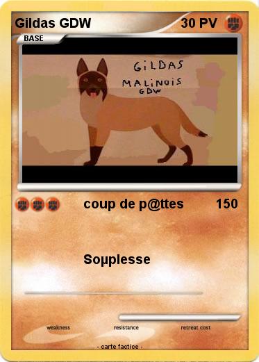 Pokemon Gildas GDW