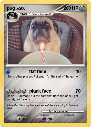 Pokemon pug