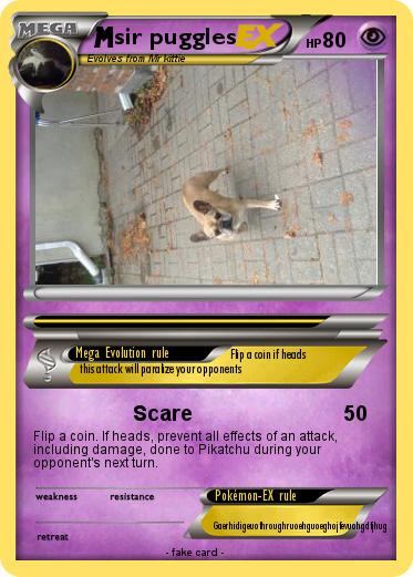 Pokemon sir puggles