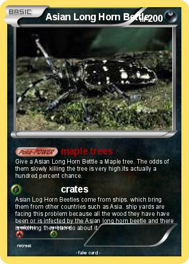Pokemon Asian Long Horn Bettle