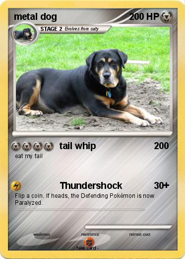 Pokemon metal dog