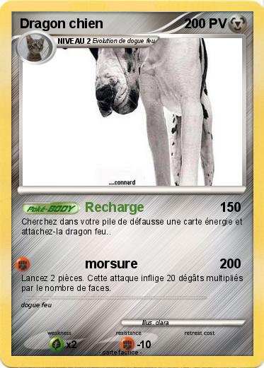 Pokemon Dragon chien