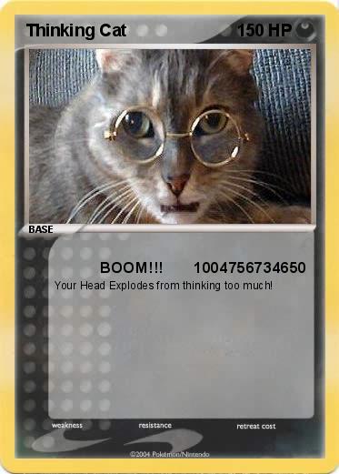 Pokemon Thinking Cat