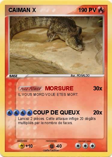 Pokemon CAIMAN X