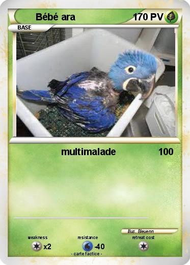 Pokemon Bébé ara
