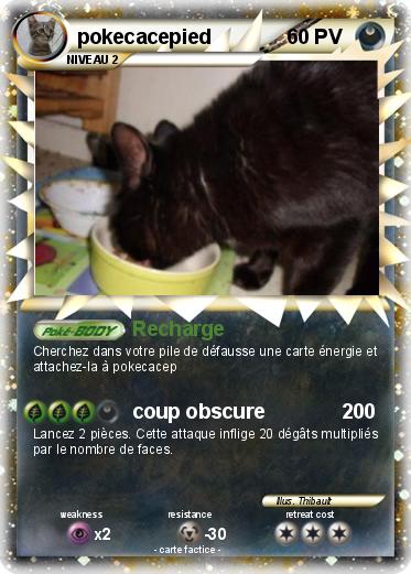 Pokemon pokecacepied