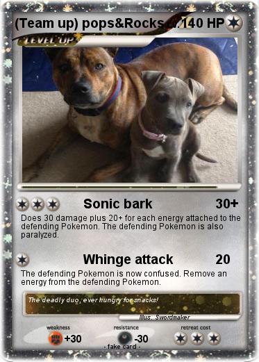 Pokemon (Team up) pops&Rocks