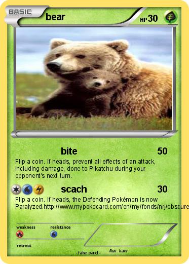 Pokemon bear