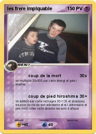 Pokemon les frere implquable
