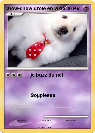 Pokemon chow-chow drôle en 2015