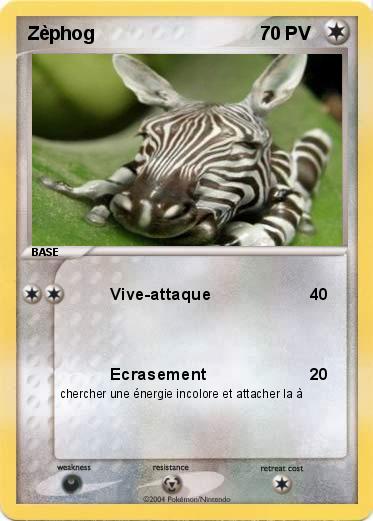 Pokemon Zèphog