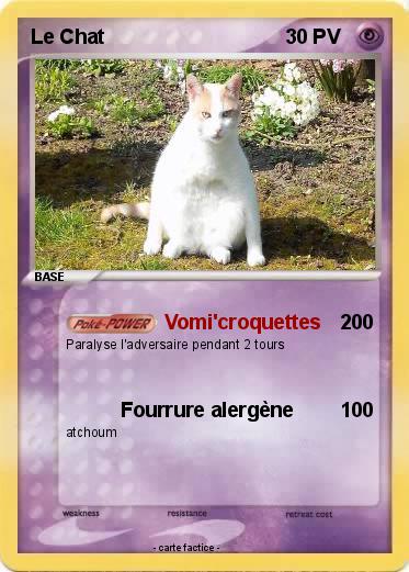 Pokemon Le Chat