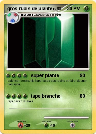 Pokemon gros rubis de plante