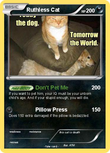 Pokemon Ruthless Cat