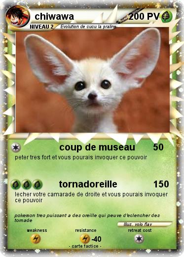 Pokemon chiwawa