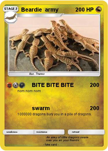 Pokemon Beardie  army