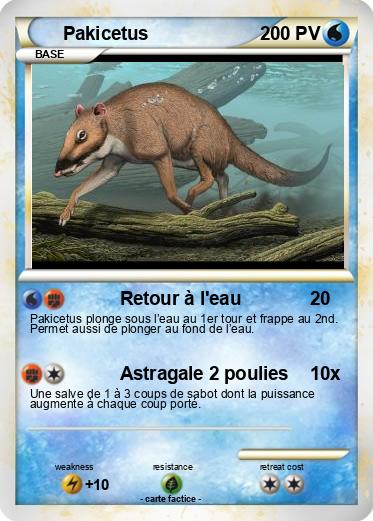 Pokemon Pakicetus