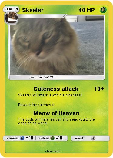 Pokemon Skeeter