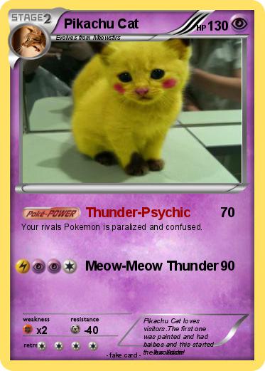 Pokemon Pikachu Cat