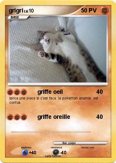 Pokemon grigri